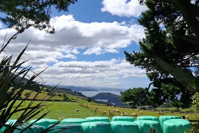 North Otago 7 Hours Scenic & Wildlife Tour - Why This Tour Works for Travelers