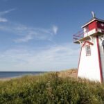 North Shore And More Private Tour - Practical Details and What They Mean for You