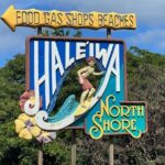 North Shore Dole Pineapple Farm Tour - The Value of This Tour