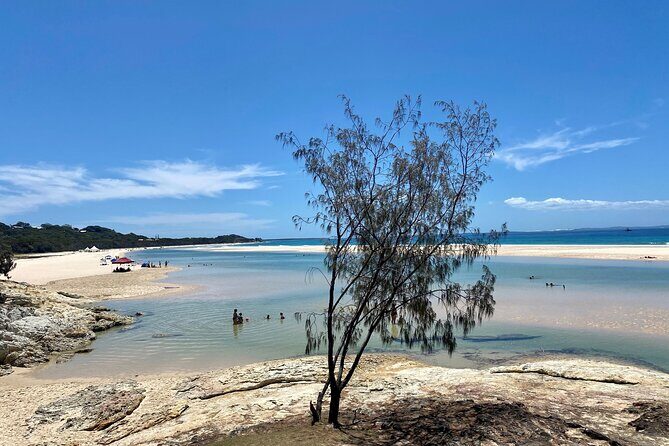 North Stradbroke Island WILDLIFE Adventure Tour from Brisbane - Why This Tour Works for Travelers