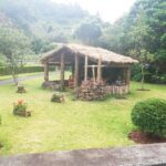 Northeast Tour of the Island - How the Itinerary Benefits Travelers