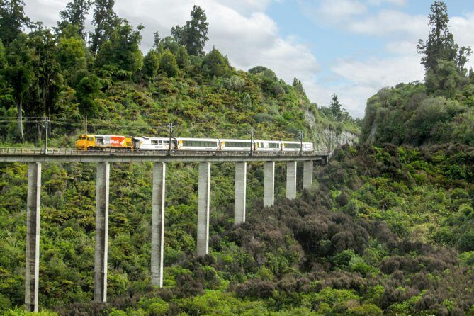 Northern Explorer Train Journey from Auckland to Wellington - A Deep Dive into the Experience