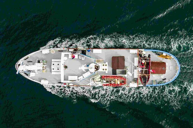 Northern Light cruise on the vintage vessel MS Strønstad - Who Will Appreciate This Tour?