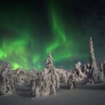 Northern Light Safari by Snowmobiles From Levi - The Experience in Detail: What to Expect on Your Snowmobile Safari