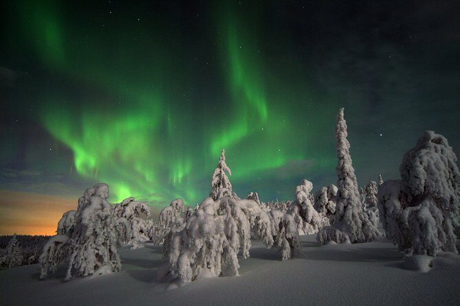 Northern Light Safari by Snowmobiles From Levi - The Experience in Detail: What to Expect on Your Snowmobile Safari