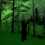 Northern Lights Adventure in the Wild with Campfire Treats - A Deep Dive into the Experience