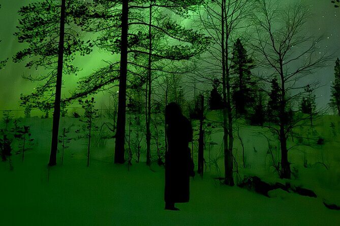 Northern Lights Adventure in the Wild with Campfire Treats - A Deep Dive into the Experience