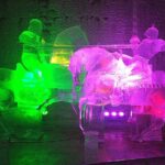 Northern Lights and Chena Hot Springs Night Tour from Fairbanks - Who Should Consider This Tour?