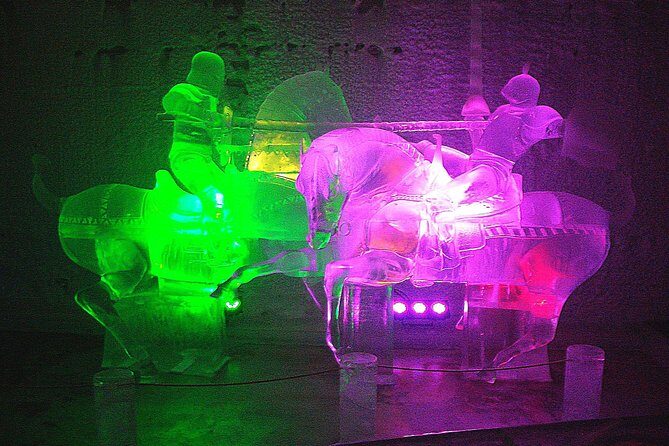 Northern Lights and Chena Hot Springs Night Tour from Fairbanks - Who Should Consider This Tour?