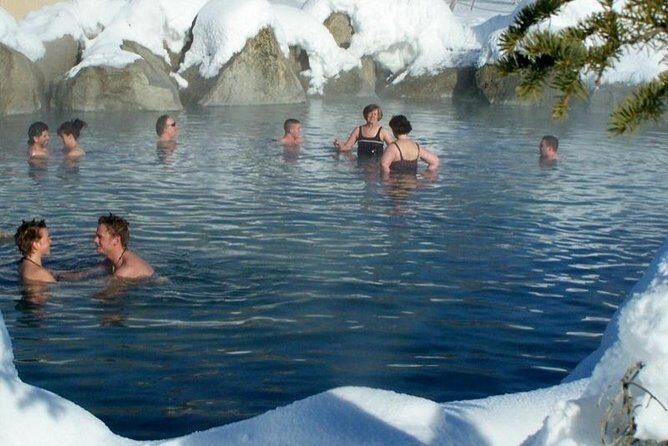 Northern Lights and Chena Hot Springs Tour from Fairbanks - Exploring the Tour in Detail: What to Expect