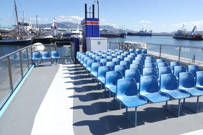 Northern Lights Boat Cruise from Reykjavik - Real Experiences: What Travelers Say
