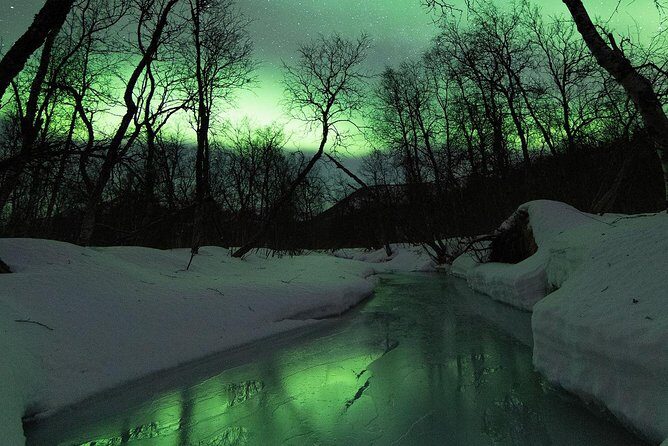 Northern Lights by Minibus. Photos Under the Lights included. Tromso - Who Will Appreciate This Tour?