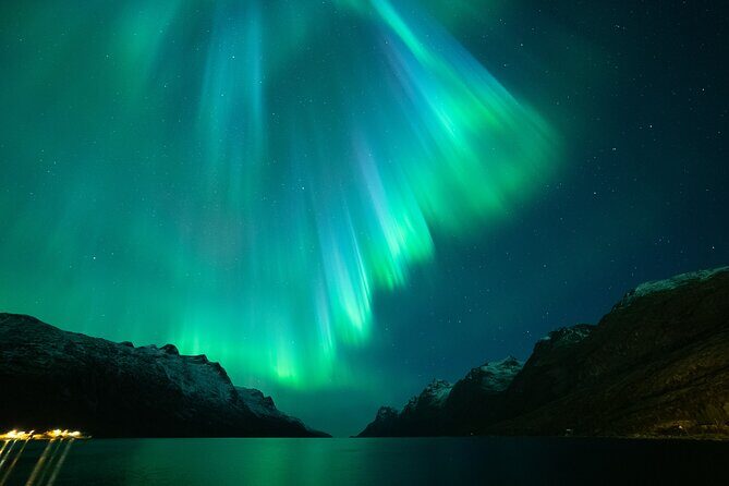 Northern Lights Chase by Bus in Tromso - The Sum Up