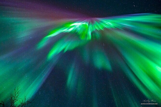 Northern Lights Chase minibus, portraits, toilet, meal, guarantee - Final Thoughts