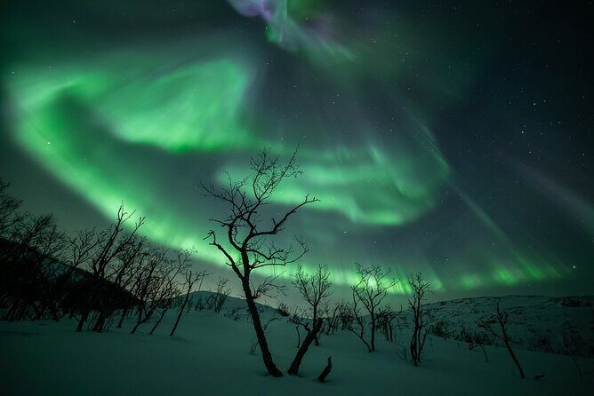Northern Lights Expedition with Arctic Photo Guide max 6 guests - An In-Depth Look at the Tromso Northern Lights Expedition