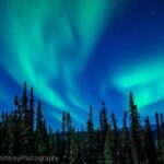 Northern Lights Experience and Cabin Dinner - Who Should Consider This Tour?