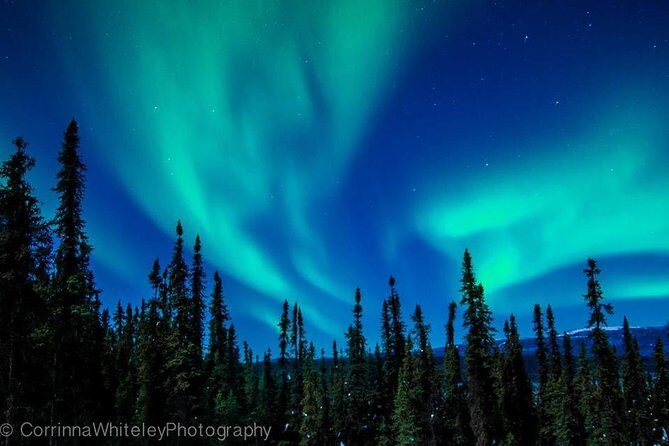 Northern Lights Experience and Cabin Dinner - Who Should Consider This Tour?