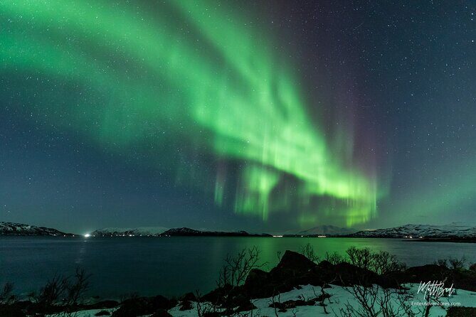 Northern Lights Guided Bus Tour with Snacks Hot drinks - Practicalities and Value