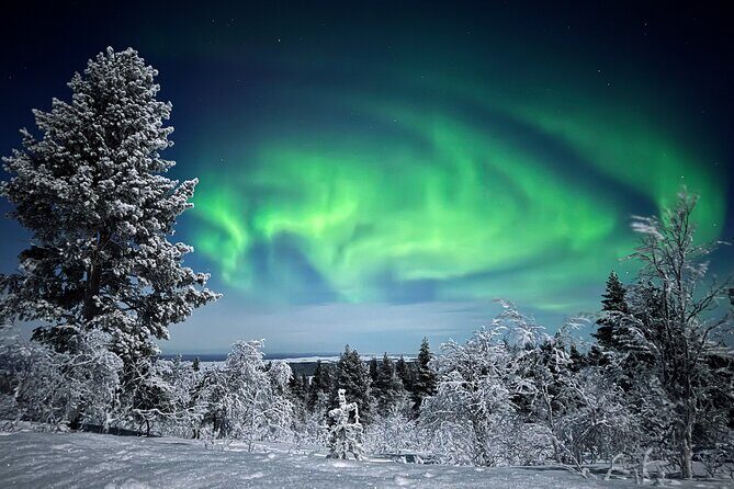 Northern Lights Holiday in Finland - An In-Depth Look at the Northern Lights Holiday in Finland