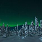 Northern Lights Hunt from Rovaniemi with Folk Tales and Snacks over Campfire - What’s the Bottom Line?