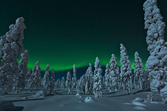 Northern Lights Hunt from Rovaniemi with Folk Tales and Snacks over Campfire - What’s the Bottom Line?