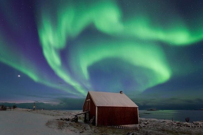 Northern Lights Hunt Including Snacks on Campfire from Levi - A Closer Look at the Northern Lights Hunt Experience