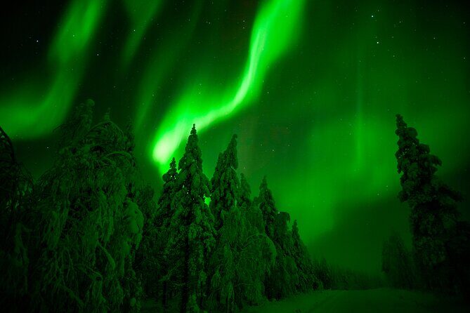 Northern Lights Hunting Adventure in Lapland - An In-Depth Look at the Northern Lights Hunting Adventure