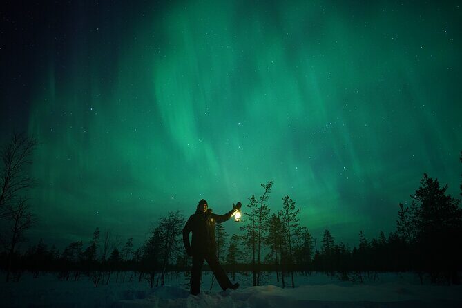 Northern Lights Hunting Photography in Rovaniemi Finland - What Travelers Say About This Tour