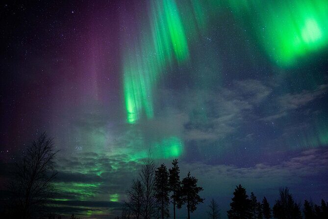 Northern Lights Hunting Photography Tour in Levi - The Realities and Considerations