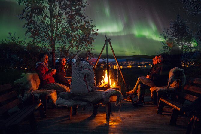Northern Lights Husky Visit - What We Love (and What’s Worth Considering)