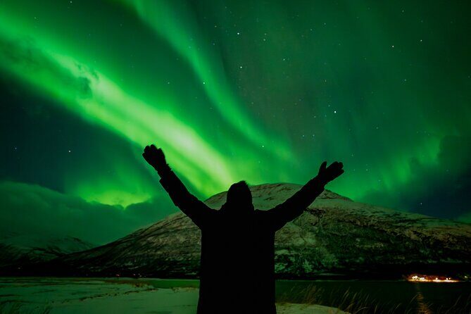 Northern Lights in Focus Tour by Minibus, German/ English, Meal - The Value of This Tour