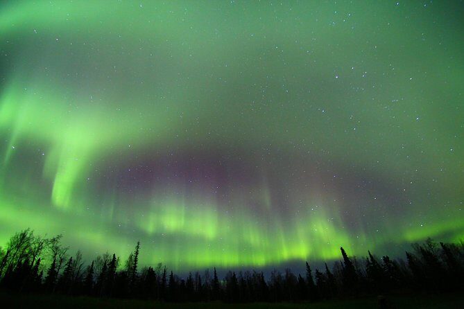 Northern Lights Lodge Viewing in Fairbanks - Price and Value: Is it Worth It?