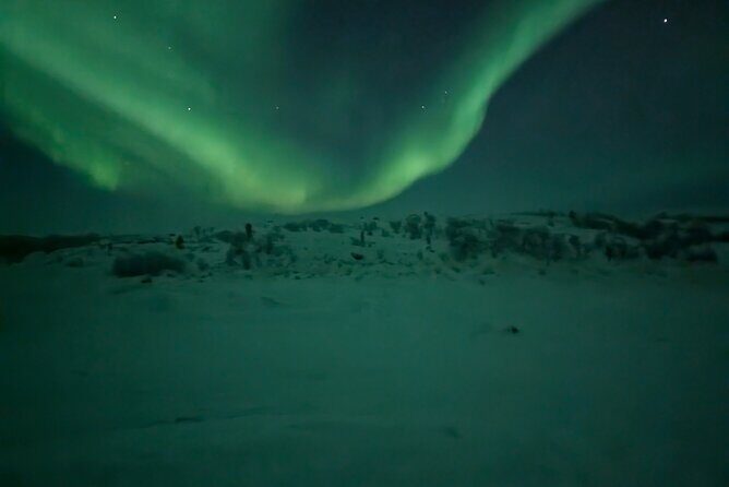 Northern Lights Minibus Chase Max 16 Person In Group - Real Experiences from Past Travelers