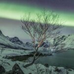 Northern Lights Private tour with your special ones - Greenlander - How the Itinerary Unfolds