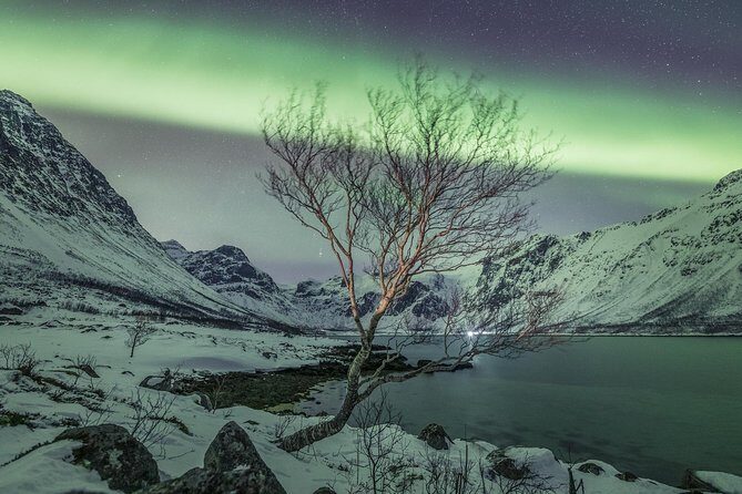 Northern Lights Private tour with your special ones - Greenlander - How the Itinerary Unfolds