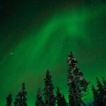 Northern Lights Reindeer Sledge Ride - Who Will Love This Tour?