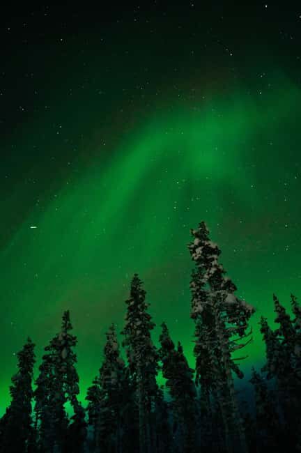 Northern Lights Reindeer Sledge Ride - Who Will Love This Tour?