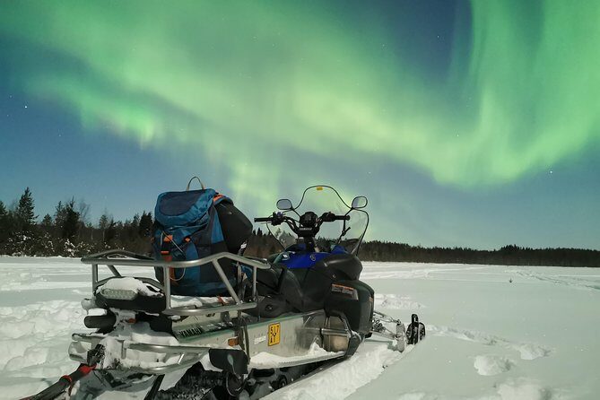 Northern Lights Sledge Ride - Why Choose This Tour?