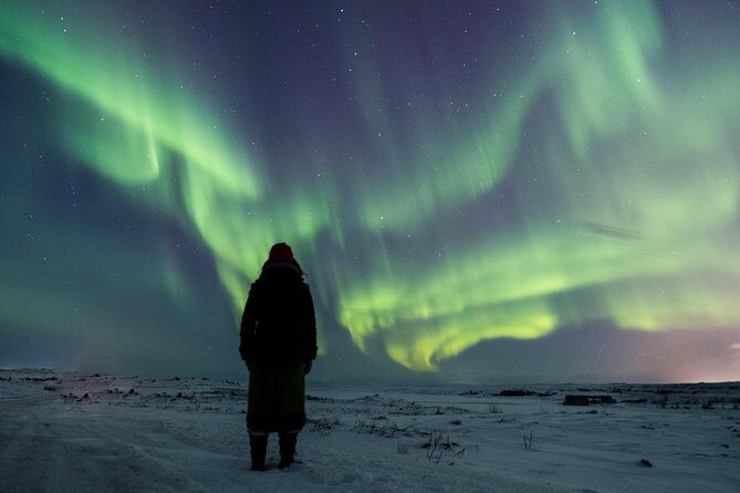 Northern Lights Small Group Tour from Reykjavik with Free Photos - Who Will Love This Tour?