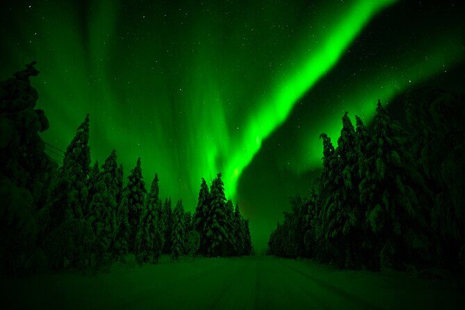 Northern Lights Snowmobile Tour - What to Expect on the Northern Lights Snowmobile Tour
