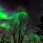 Northern Lights Tour from Reykjavik with Lifetime Guarantee - A Closer Look at the Northern Lights Tour from Reykjavik