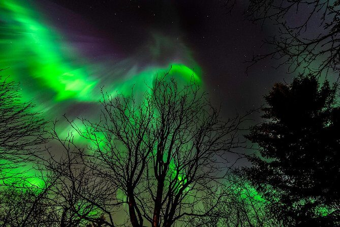 Northern Lights Tour from Reykjavik with Lifetime Guarantee - A Closer Look at the Northern Lights Tour from Reykjavik