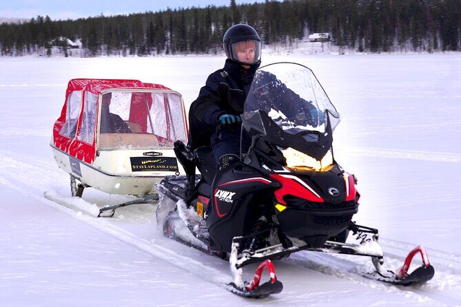 Northern Lights Tour Sleigh Ride - Who Will Love This Tour?