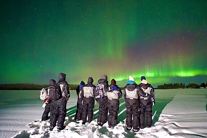 Northern Lights Tour Snowmobile Driving - Practicalities and Logistics