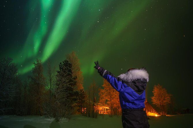 Northern lights tour to Lake Inari from Ivalo, Reindeers & Dinner - Who Should Consider This Tour?