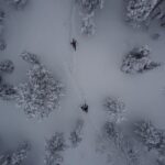 Northern Lights Tour With Skis Or Snowshoes in Pyhä - Deep Dive into the Arctic Night: What to Expect