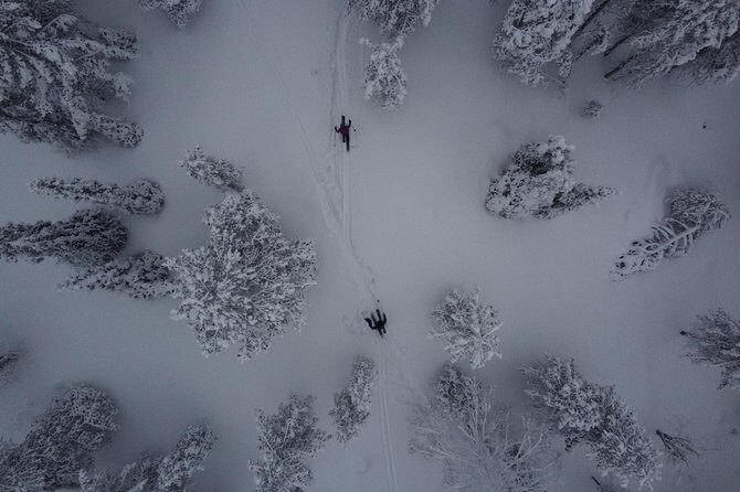 Northern Lights Tour With Skis Or Snowshoes in Pyhä - Deep Dive into the Arctic Night: What to Expect