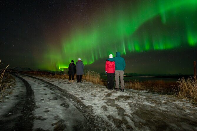 Northern Lights Tours Bodo Norway - FAQs