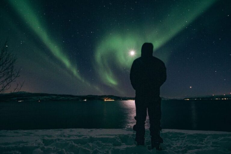 Northern lights Tromsø - small group tour with local guide - An Authentic Arctic Experience in Tromsø