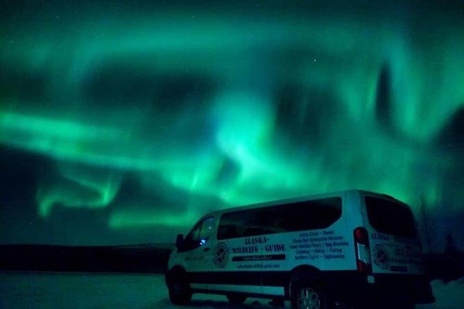 Northern Lights Viewing at Murphy Dome - What You Need to Know Before Booking